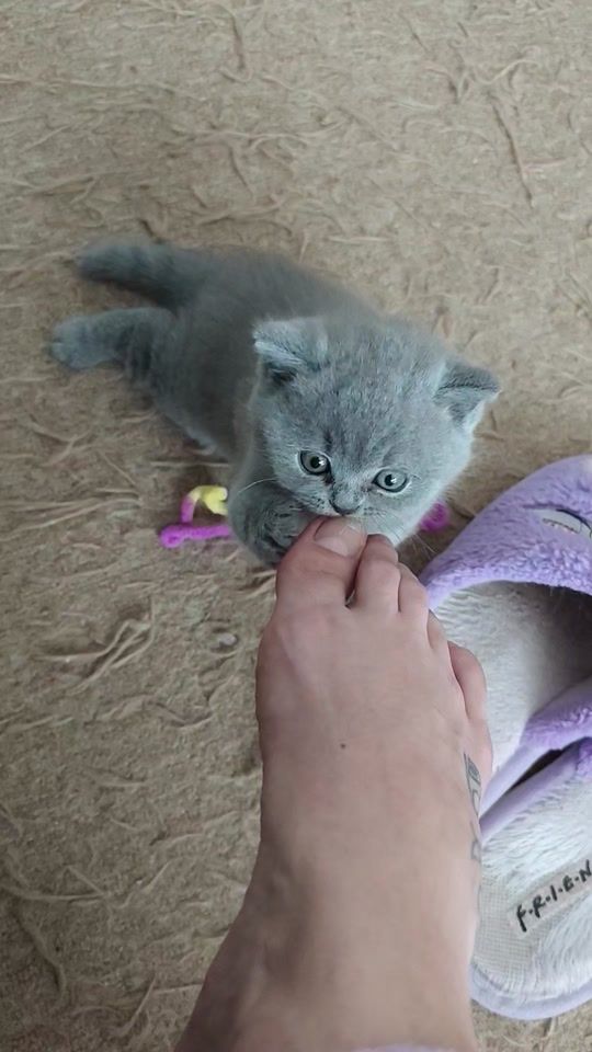TikTok video thumbnail by nikolkiss91