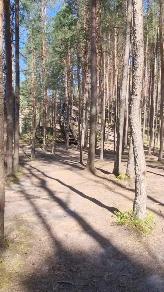 TikTok video thumbnail by wildriga
