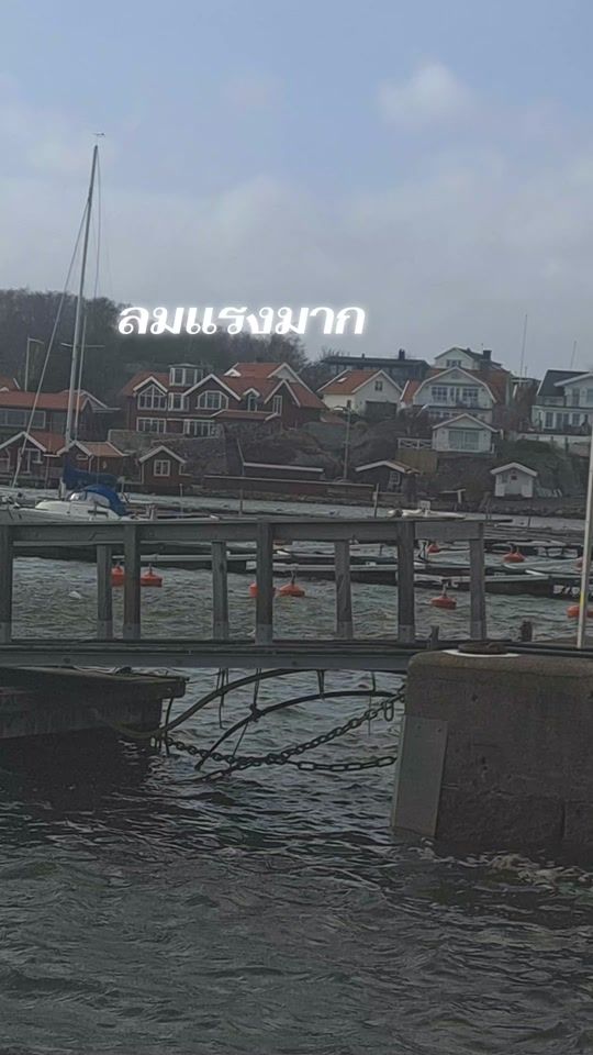 TikTok video thumbnail by j.202599