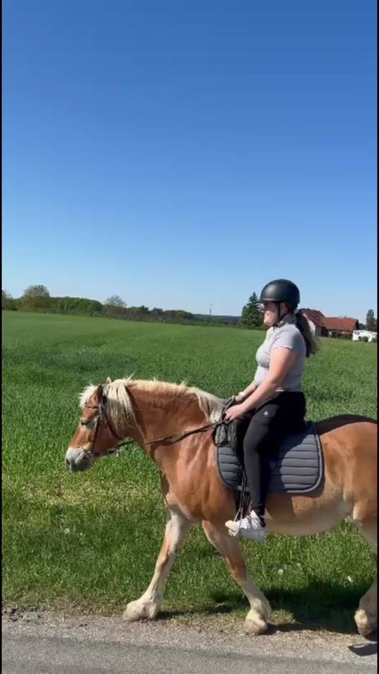 TikTok video thumbnail by janas.pferdeweltoriginal