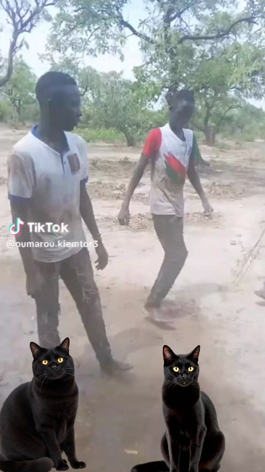 TikTok video thumbnail by ali.telcom