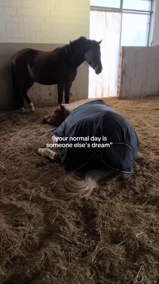 TikTok video thumbnail by jaq_uel