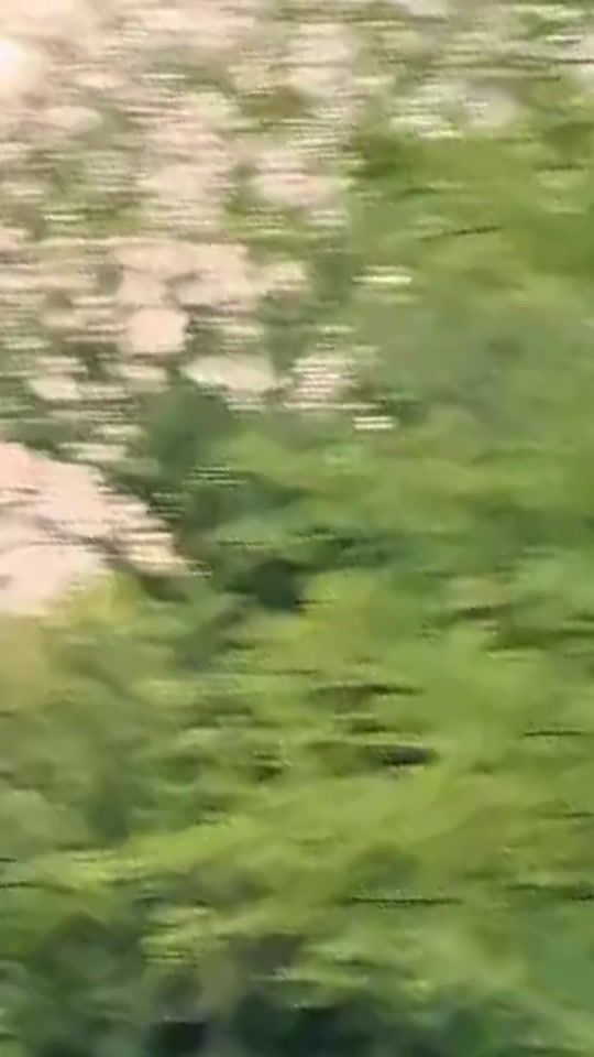 TikTok video thumbnail by rabeesa.khan1198