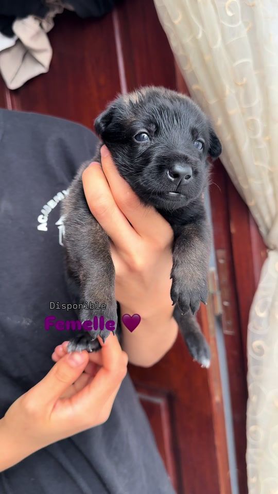 TikTok video thumbnail by pablo.kk9