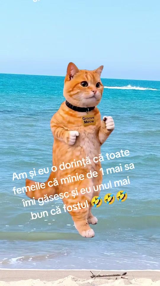 TikTok video thumbnail by rodica.bordea