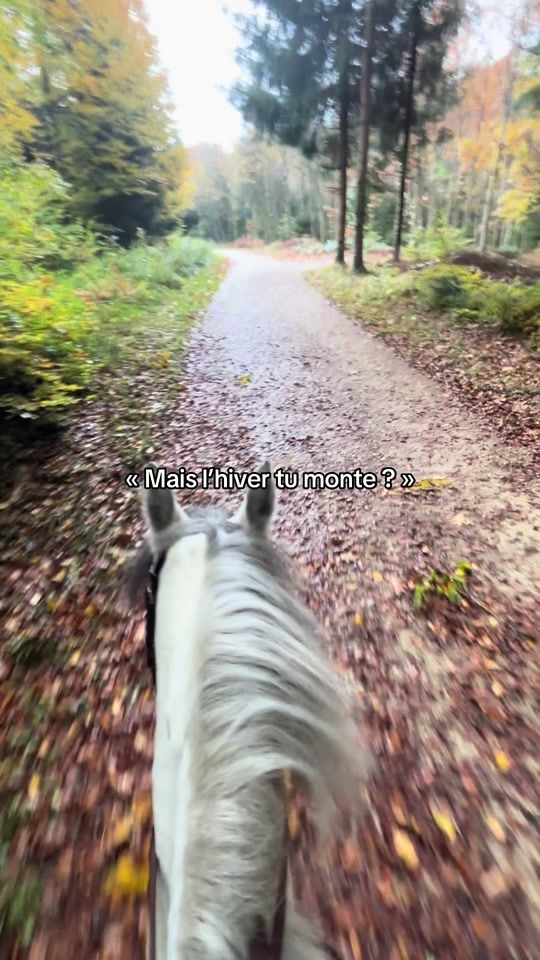 TikTok video thumbnail by sixteen.de.la.broye.ch