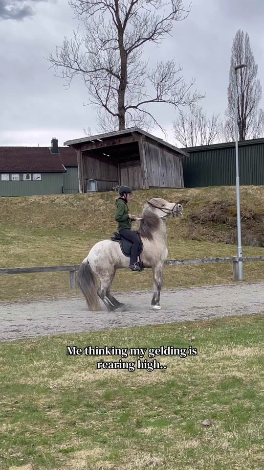 TikTok video thumbnail by eq.synnet