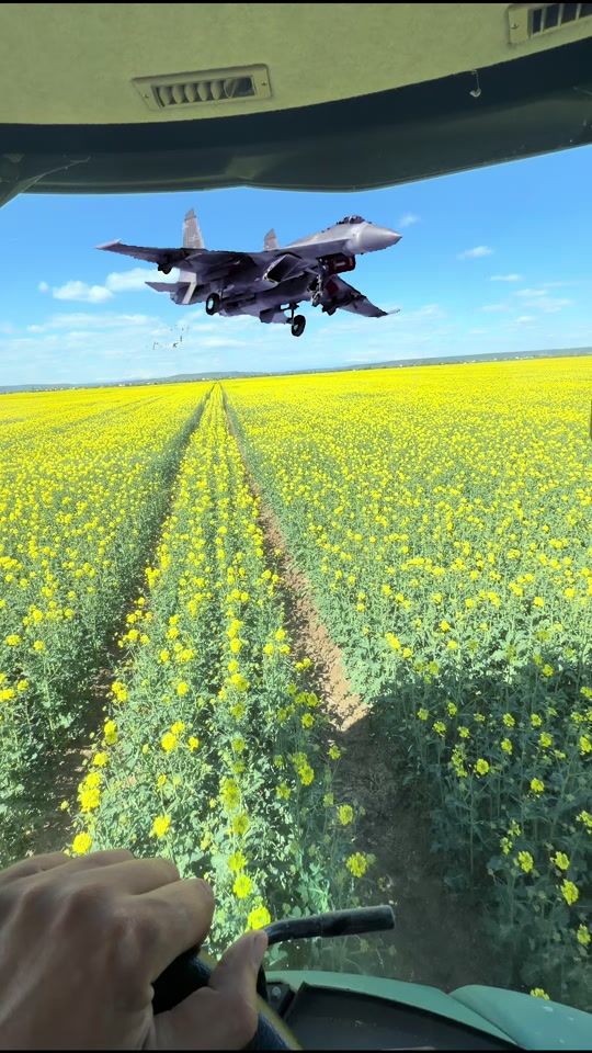 TikTok video thumbnail by florin.nae277