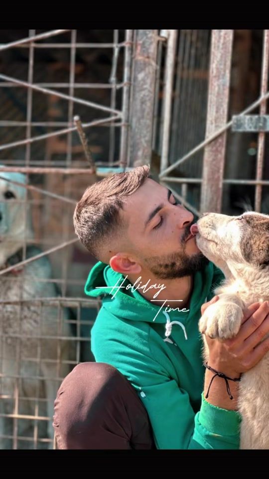 TikTok video thumbnail by krtkennel