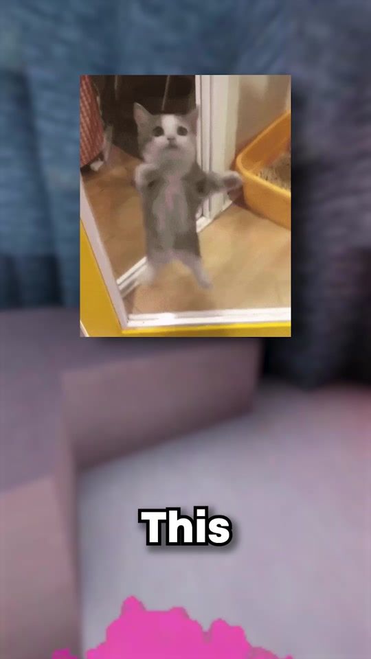 TikTok video thumbnail by quinsime