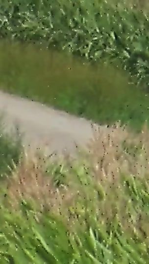 TikTok video thumbnail by christopherocall