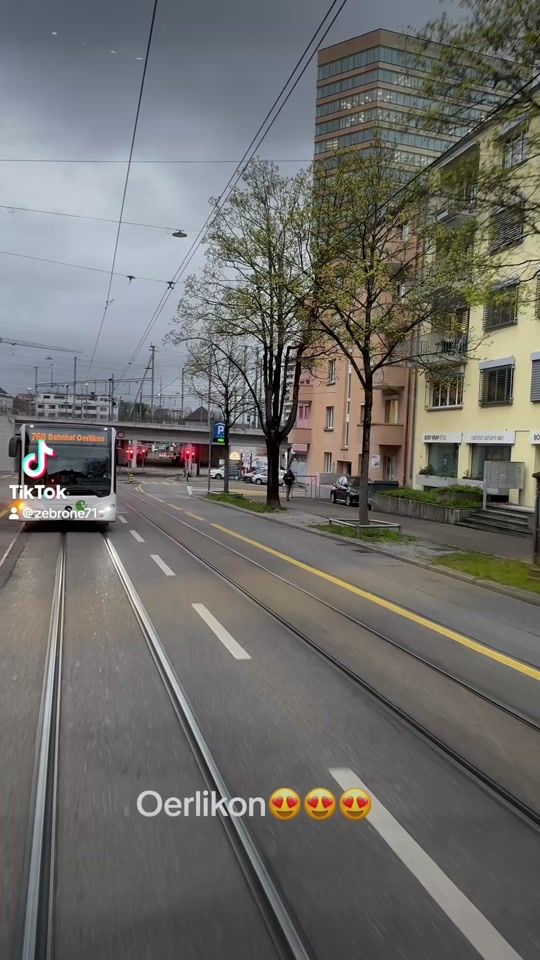 TikTok video thumbnail by zebrone71