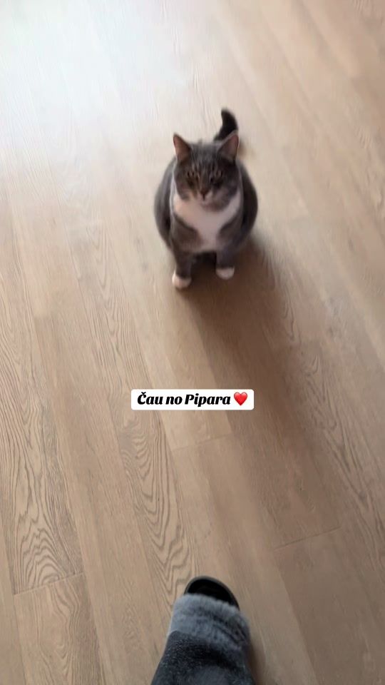 TikTok video thumbnail by oksanabragule