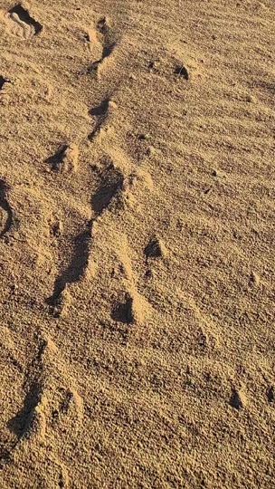 TikTok video thumbnail by janne.adventures