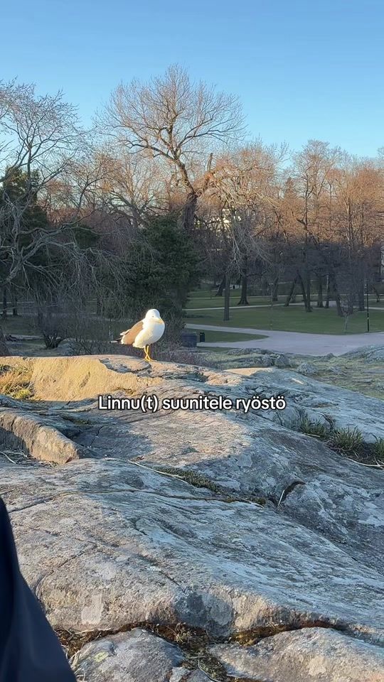 TikTok video thumbnail by mirohagman