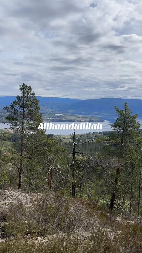 TikTok video thumbnail by zahrahagi