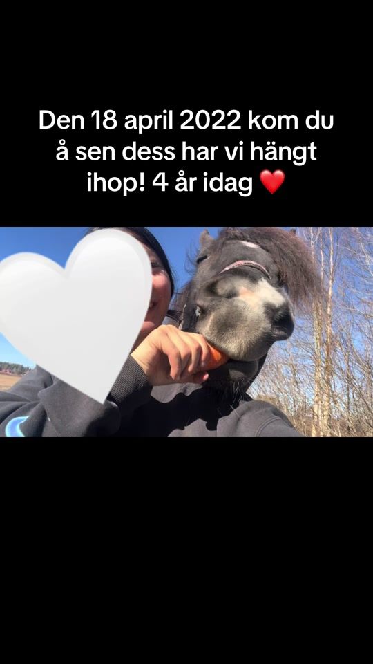 TikTok video thumbnail by sanna_lindgren