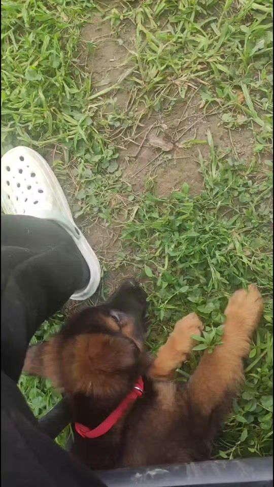 TikTok video thumbnail by glueckmark