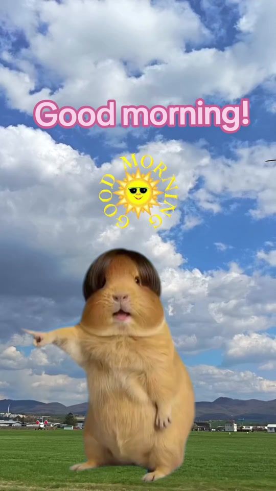 TikTok video thumbnail by admajka