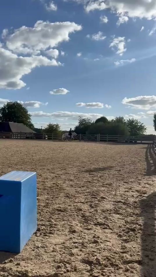 TikTok video thumbnail by anabelshowjumping