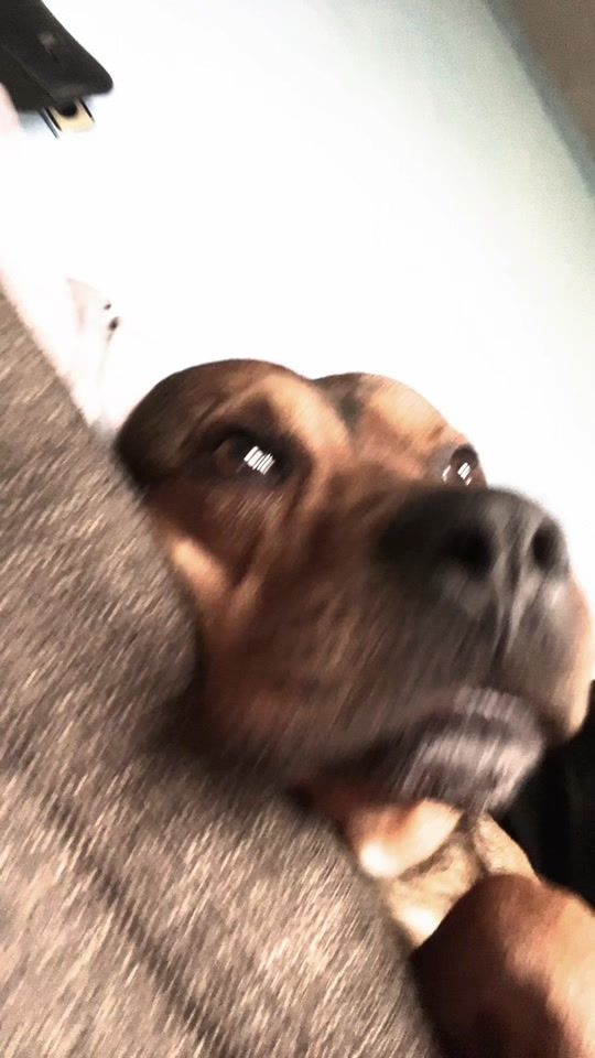 TikTok video thumbnail by danikocev8