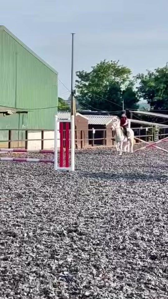 TikTok video thumbnail by macie_lexi3