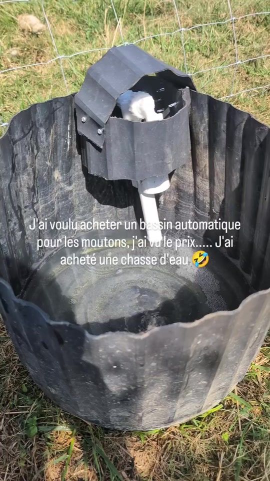 TikTok video thumbnail by abou.addict