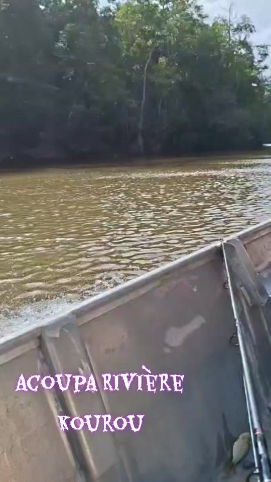 TikTok video thumbnail by carol.97300
