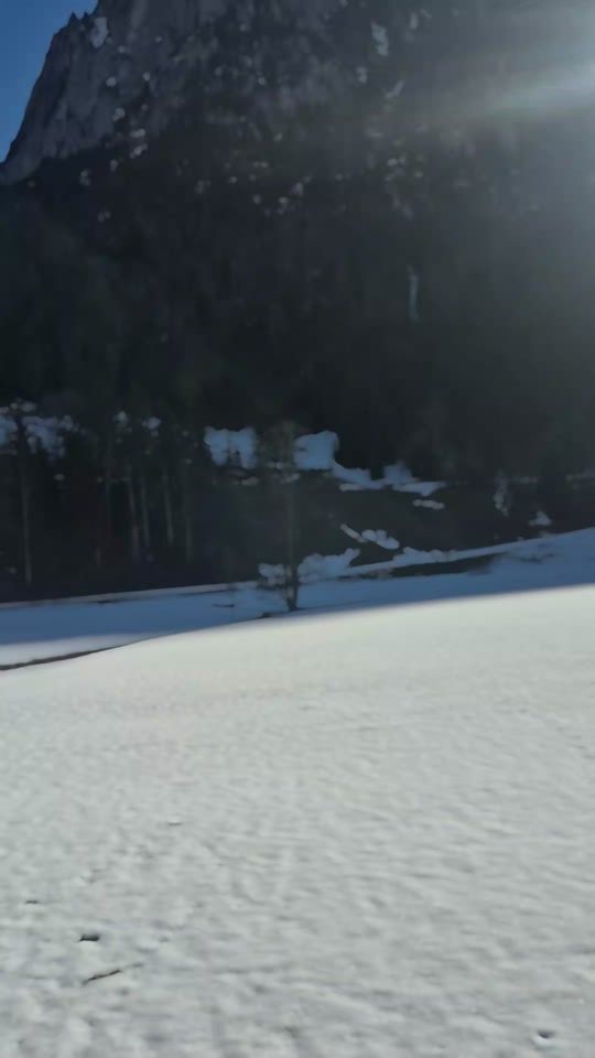 TikTok video thumbnail by _baernermeitschi._