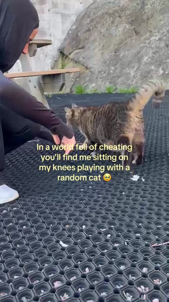 TikTok video thumbnail by starx_bz