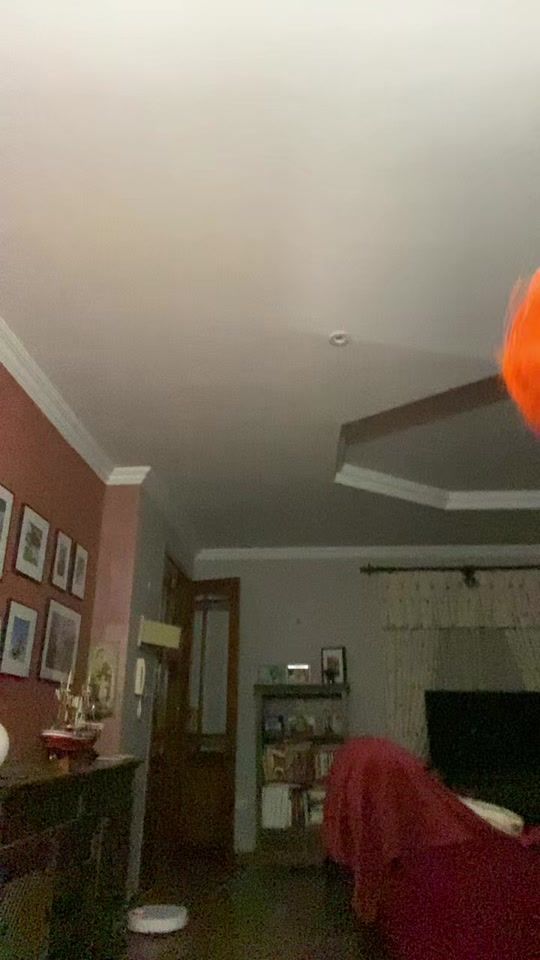 TikTok video thumbnail by extra_josue
