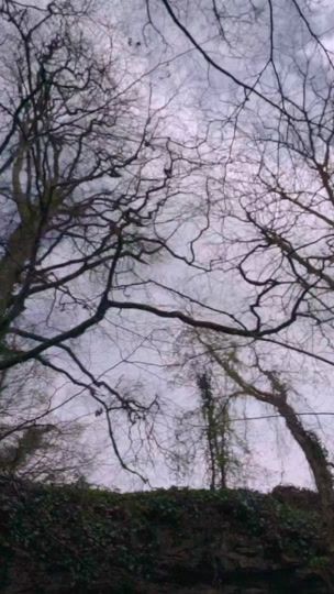 TikTok video thumbnail by cormacbegley
