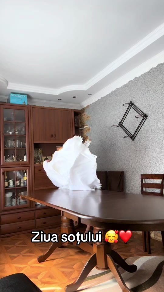 TikTok video thumbnail by corina.petrea94