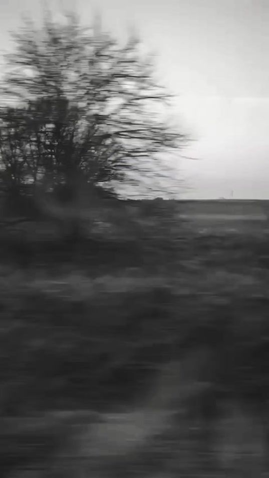 TikTok video thumbnail by live.your.life.83