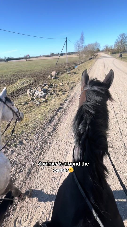 TikTok video thumbnail by martaswjp