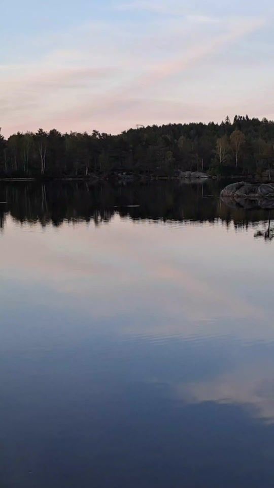 TikTok video thumbnail by space.of.nature