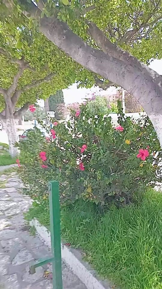 TikTok video thumbnail by benkhalifa388