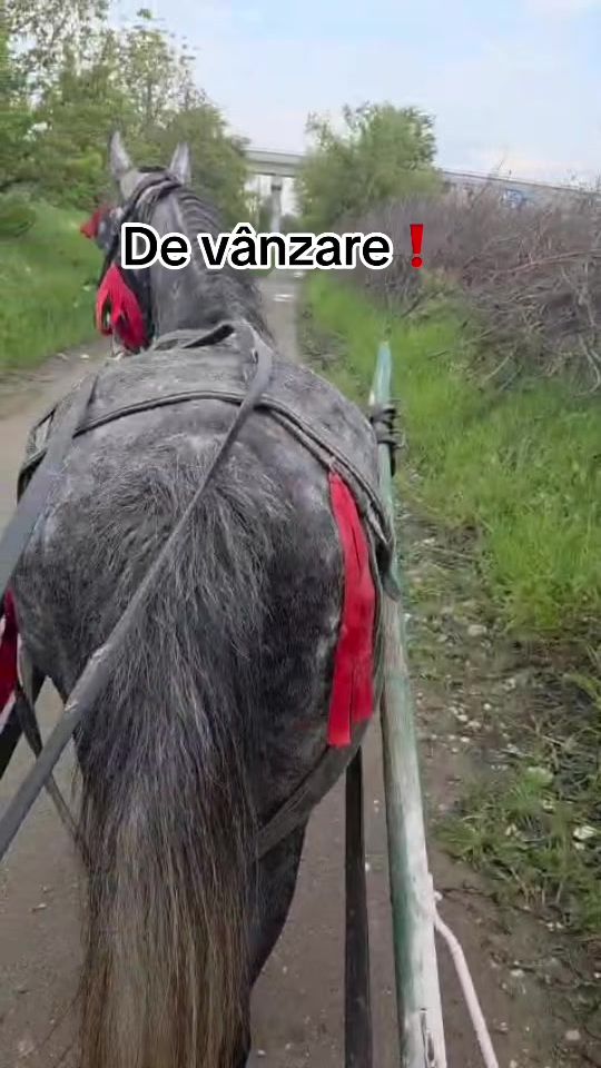 TikTok video thumbnail by ioaniu_nek