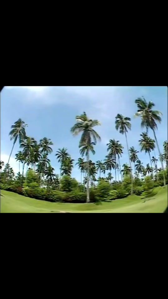 TikTok video thumbnail by krossman