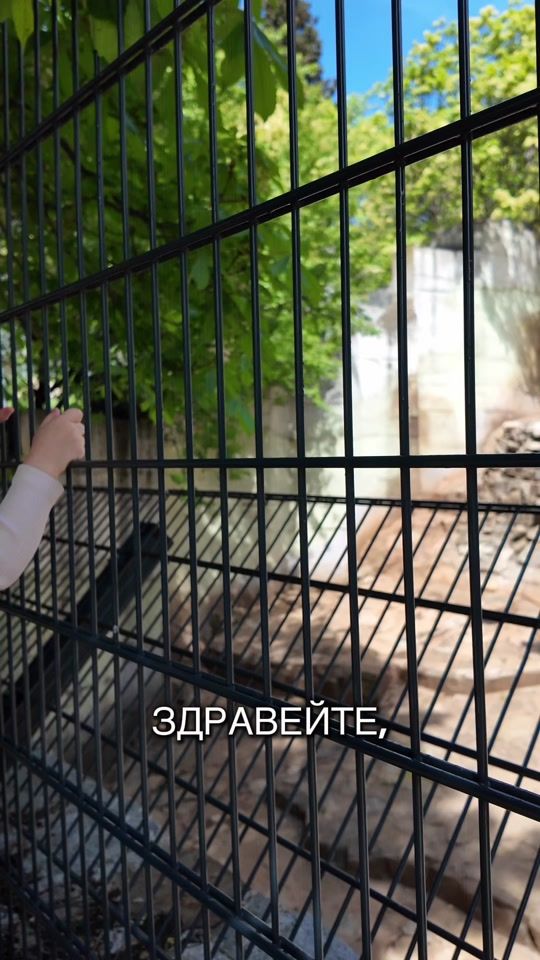 TikTok video thumbnail by _brendo_6