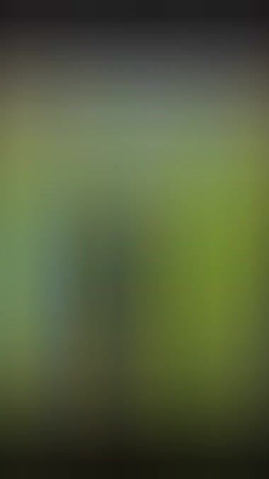 TikTok video thumbnail by peohauu