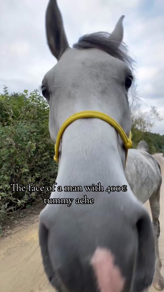 TikTok video thumbnail by shadyandtoxic