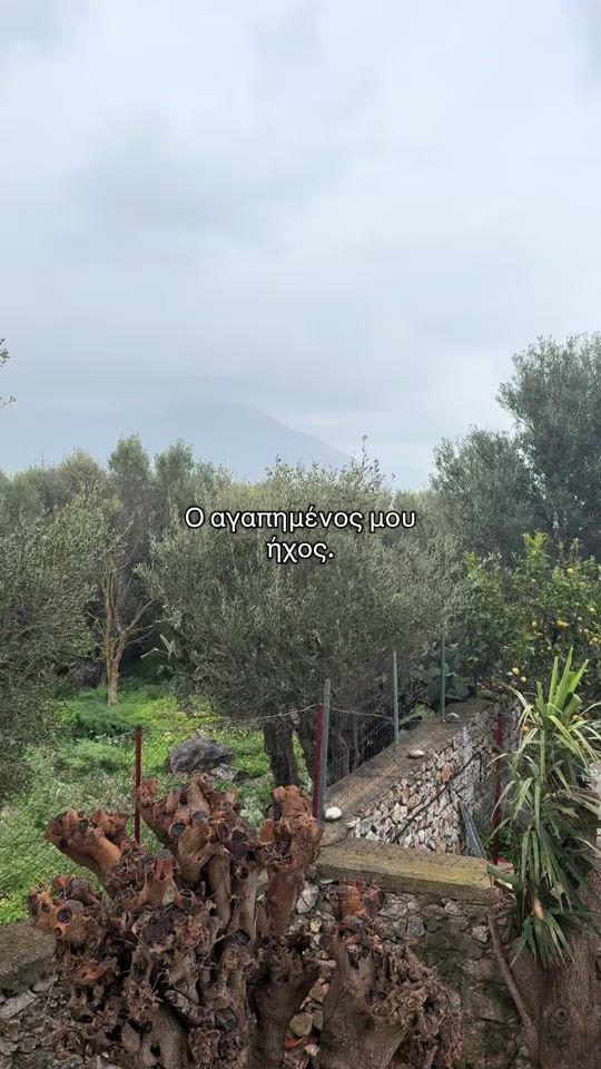 TikTok video thumbnail by livelikealocal.mani