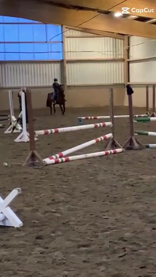 TikTok video thumbnail by jorle_equestrian.2011