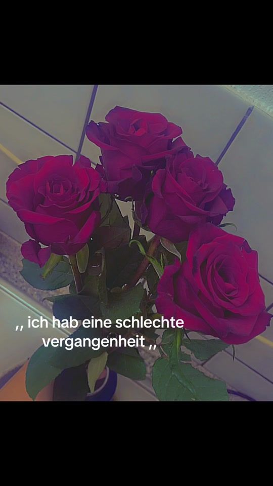 TikTok video thumbnail by seineprinzessin02.10.24