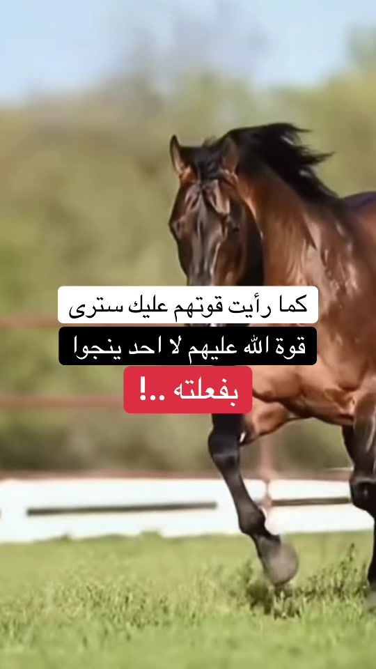 TikTok video thumbnail by nisrino444