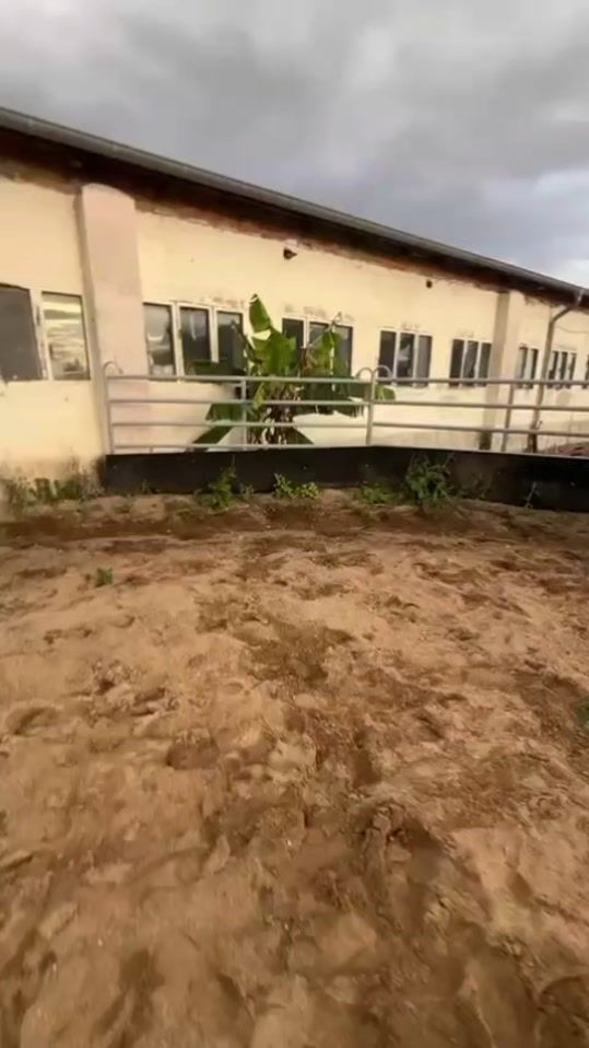 TikTok video thumbnail by maja_pferde1