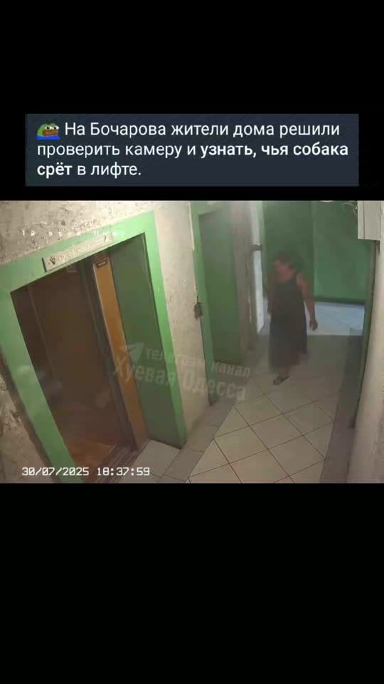 TikTok video thumbnail by odesacity