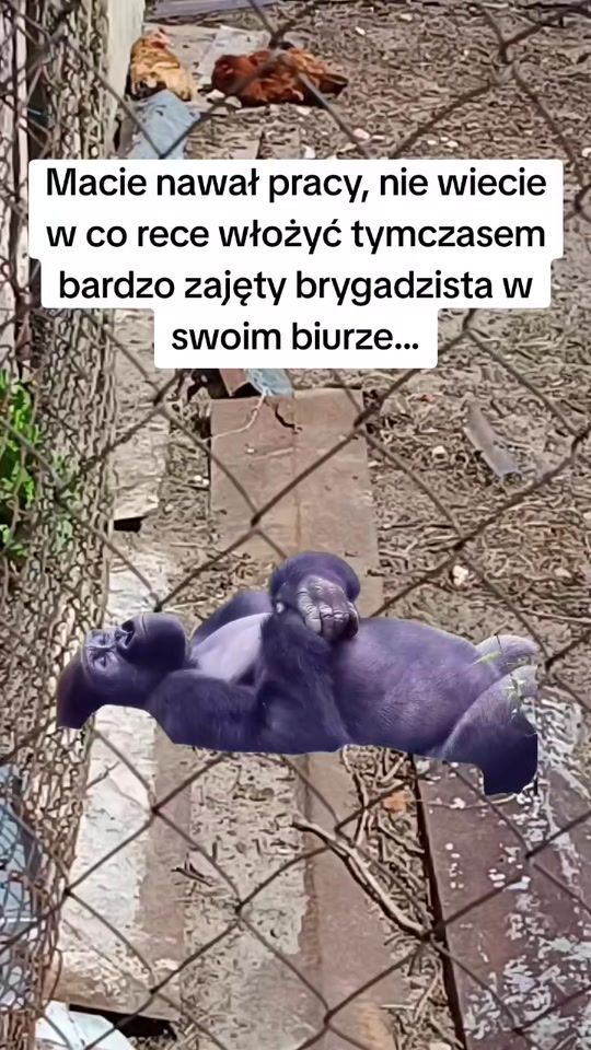 TikTok video thumbnail by aleksander_bulwiasty