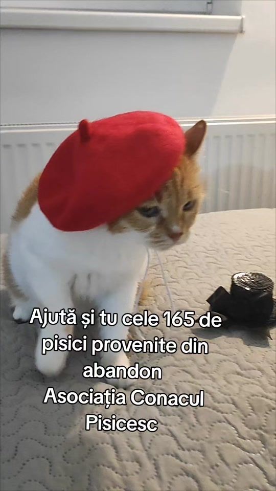 TikTok video thumbnail by conaculpisicesc